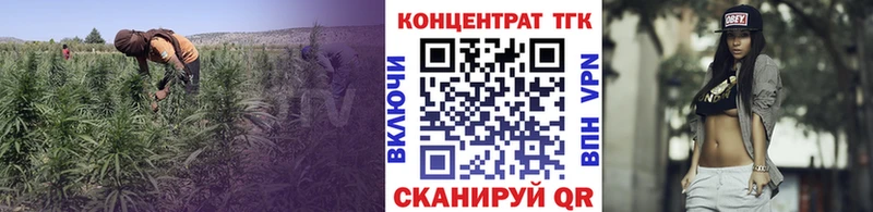 Дистиллят ТГК THC oil  Бирюч 