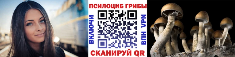 Галлюциногенные грибы MAGIC MUSHROOMS маркетплейс какой сайт Бирюч