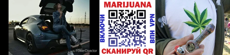 где можно купить   Бирюч  кракен   Марихуана сатива 
